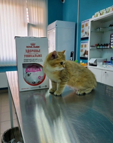 Ветеринарная клиника "Доктор Шпицлен".