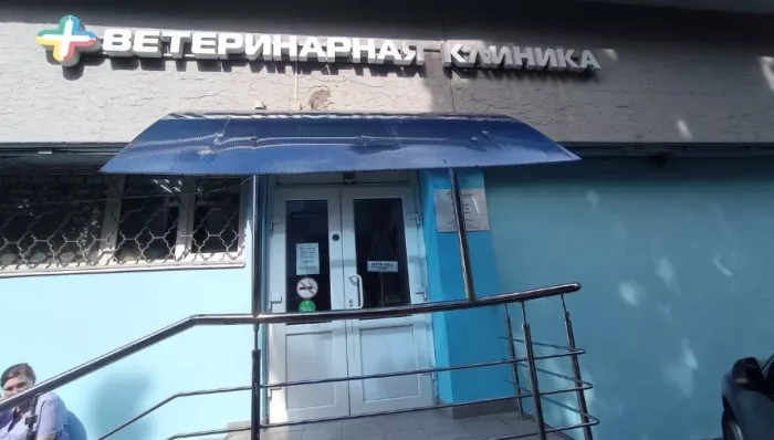 Ветеринарная клиника "Спектр-вет" .