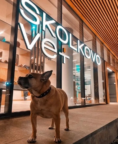 Ветеринарные клиники "Skolkovo vet".