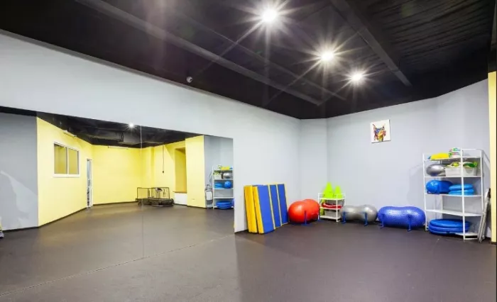 Клуб для собак "Class&Fit".