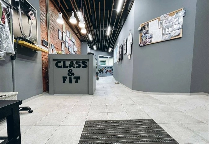 Клуб для собак "Class&Fit".