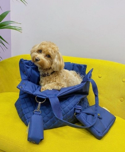 Зоосалон "Mishka groom".