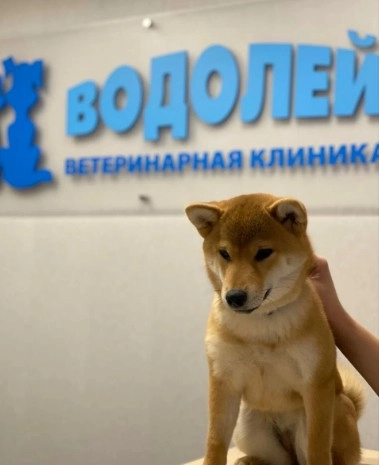 Ветеринарная клиника "Водолей" .