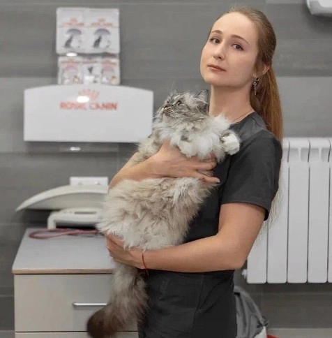 Ветеринарная клиника "CatWell" .