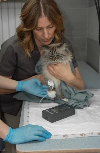 Ветеринарная клиника "CatWell" .