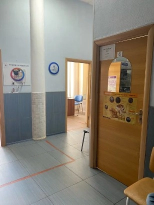 Ветеринарные клиники "Центр неотложной ветеринарной офтальмологии и микрохирургии глаза".