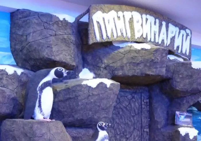 Зоопарк "Пингвинарий".