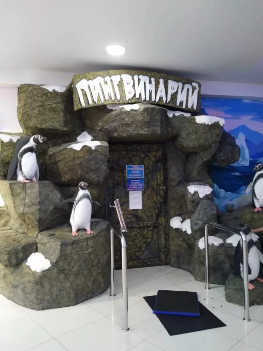 Зоопарк "Пингвинарий".