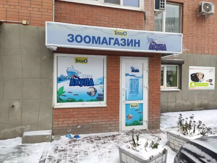 Зоомагазин "Белая акула".