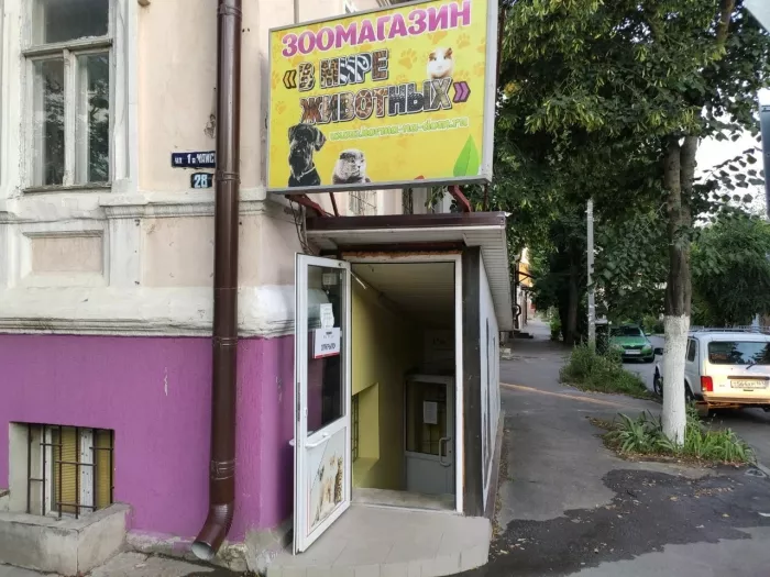 Зоомагазин "В мире животных".