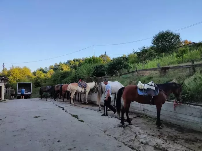 Конный клуб "Фаворит".