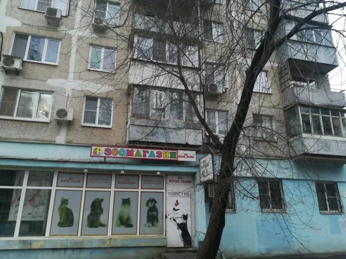 Зоомир "Зоосити" на Волкова.