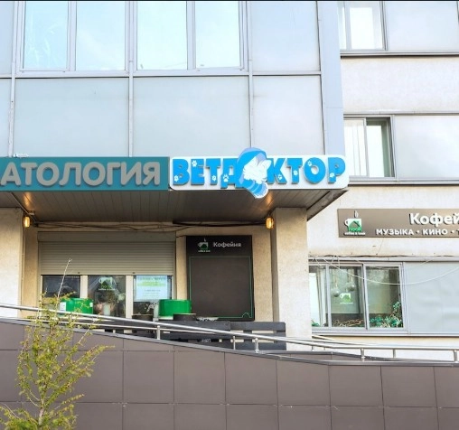 Ветеринарная клиника "Ветдоктор".