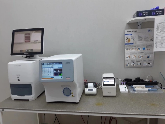 Ветеринарная клиника "GlobalVet clinic".