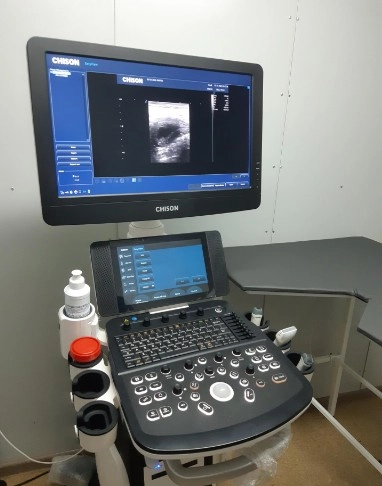 Ветеринарная клиника "GlobalVet clinic".