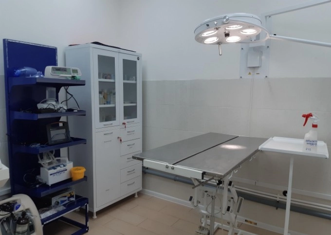 Ветеринарная клиника "GlobalVet clinic".