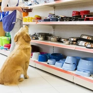 Зоомагазин "Рыжий кот" на Стачки.
