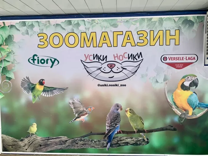 Зоомагазин "Усики и Носики".