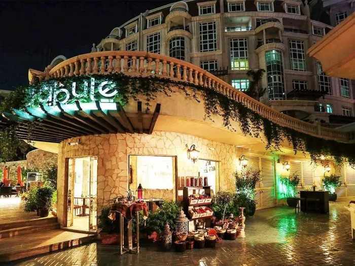 Отель "Swissotel Al Murooj Dubai"4*