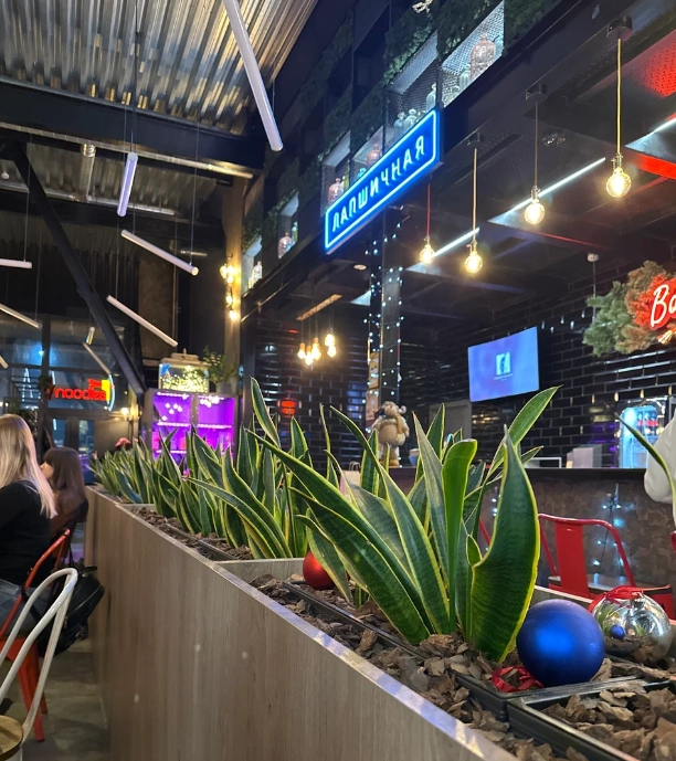 Бар-лапшичная "Noodles" на проспекте Машерова