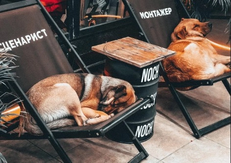 Кофейня "Noch' Box".