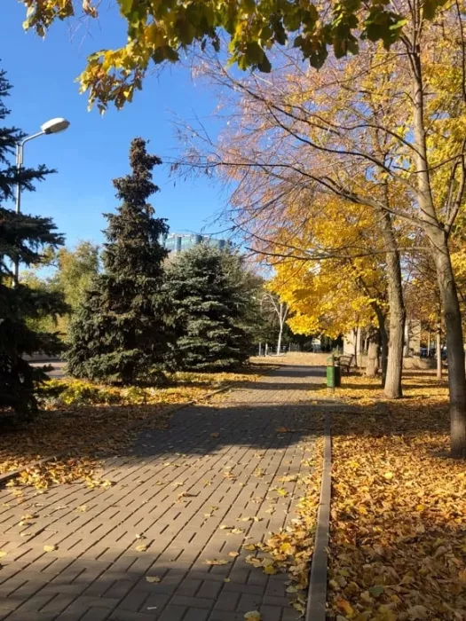 Смотровая площадка на улице Нижебольварная.