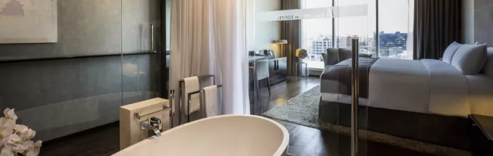Отель "The Canvas Dubai- MGallery Hotel Collection" 5*