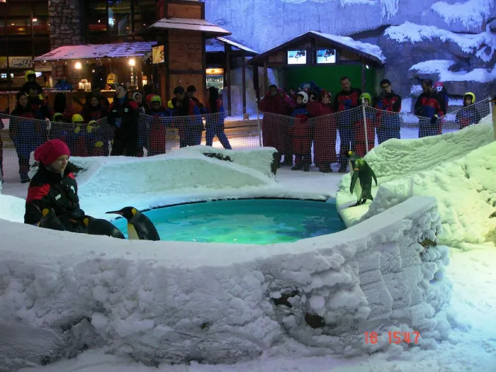 Горнолыжный комплекс "Ski Dubai"