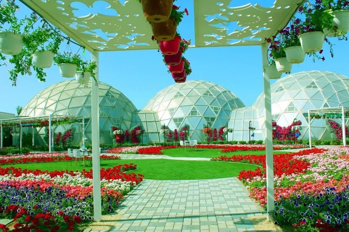 Сад бабочек "Butterfly Garden"