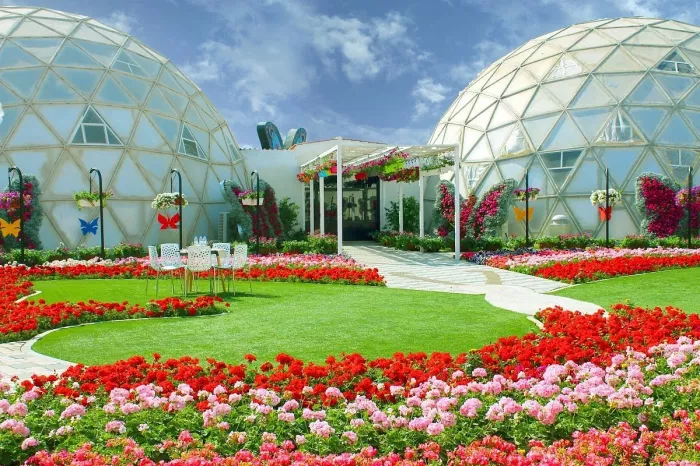 Сад бабочек "Butterfly Garden"