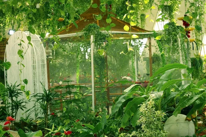 Сад бабочек "Butterfly Garden"