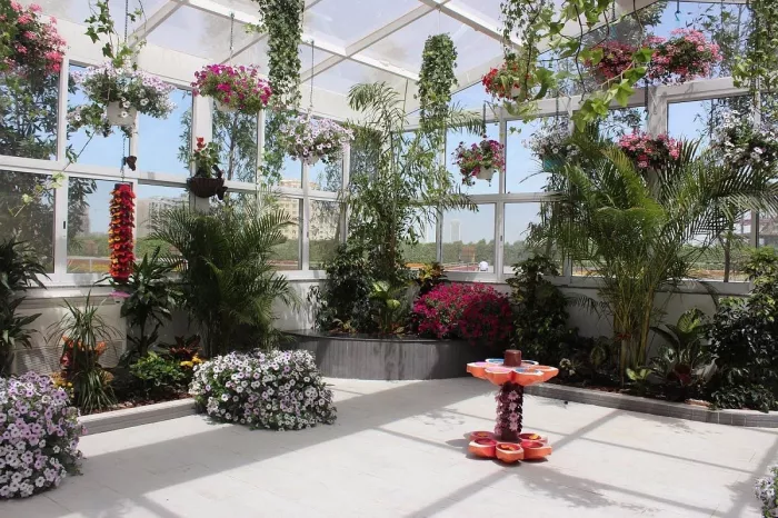 Сад бабочек "Butterfly Garden"
