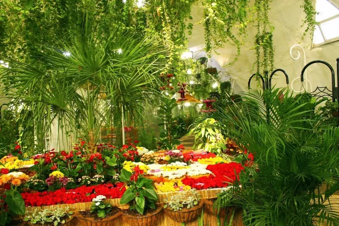 Сад бабочек "Butterfly Garden"
