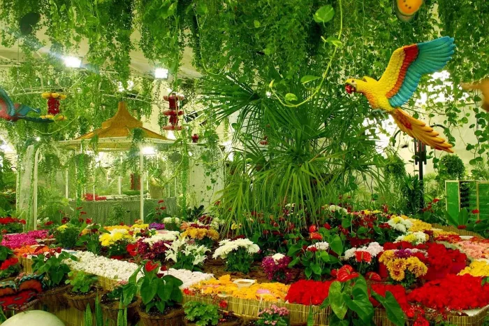 Сад бабочек "Butterfly Garden"