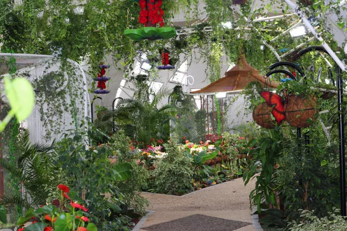 Сад бабочек "Butterfly Garden"