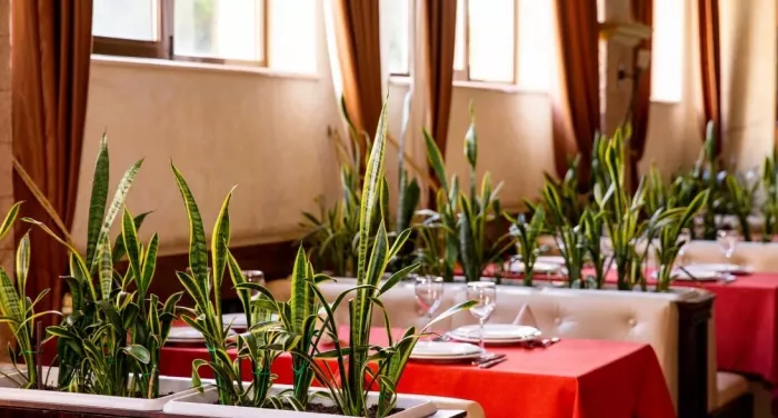Отель "TROY Hotel"