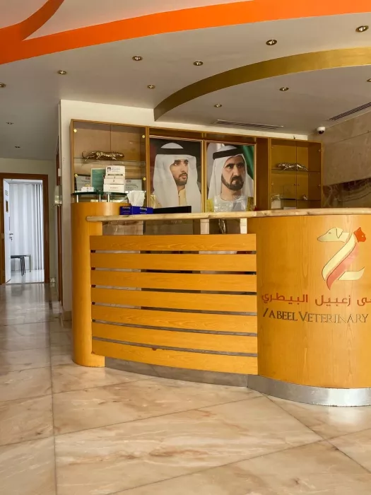 Ветеринарная клиника "Zabeel Veterinary Hospital"