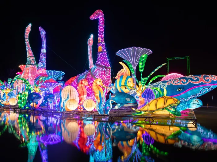 Тематический парк "Dubai Garden Glow Zaa'beel First"