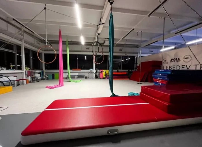 Воздушная гимнастика "Pole sport".