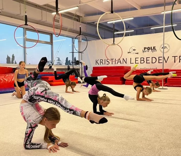 Воздушная гимнастика "Pole sport".