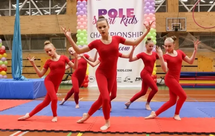 Воздушная гимнастика "Pole sport".