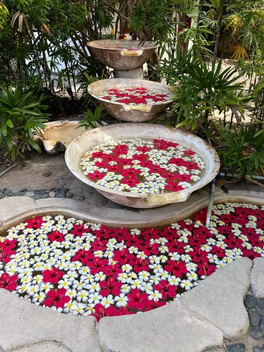 Салон красоты «Nature Wellness Massage & Spa»