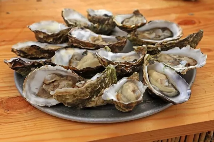 Ферма «Cambuhat Oyster Farm»