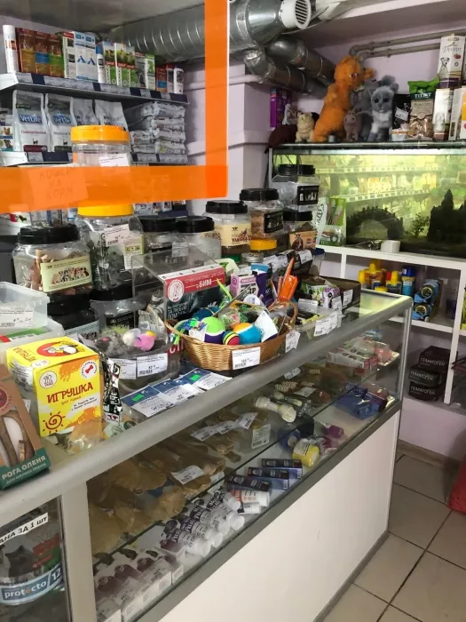 "Зоомагазин" на Воровского.