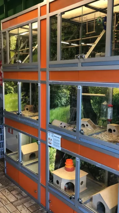 Зоомагазин "Планета Zoo".