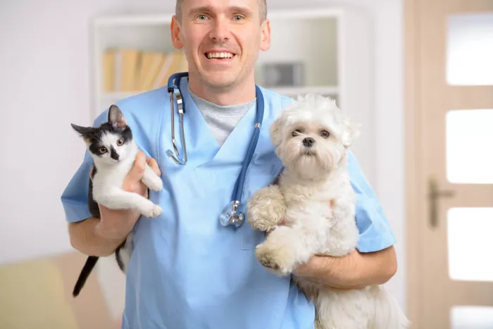 Ветеринарная клиника "My Vet".