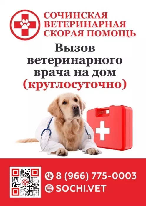  Ветеринарная скорая помощь "Sochi.Vet".