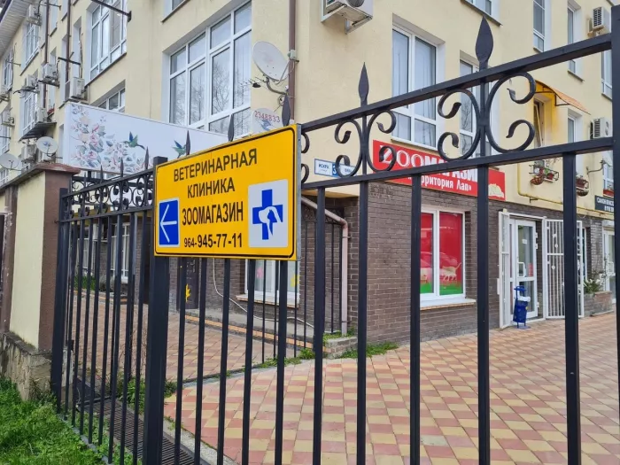Ветеринарная клиника "Айболит".