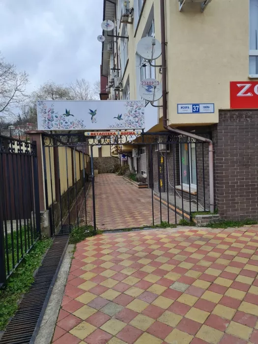 Ветеринарная клиника "Айболит".