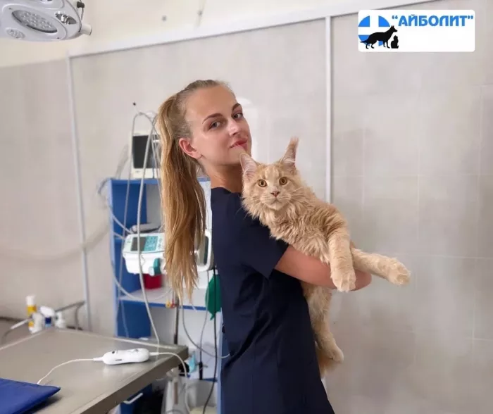Ветеринарная клиника "Айболит" на Урожайной.